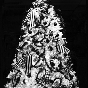 Christmas 2019 • An actual b&w Christmas tree in the Florist Shop window