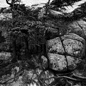 Weathered Rock, Pine Growth, Otter Point,